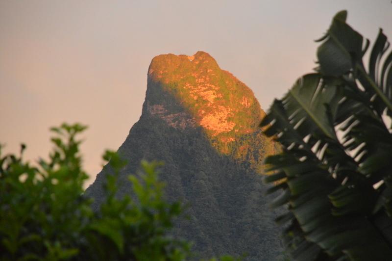 Te Fare Hinahei Διαμέρισμα Moorea Εξωτερικό φωτογραφία